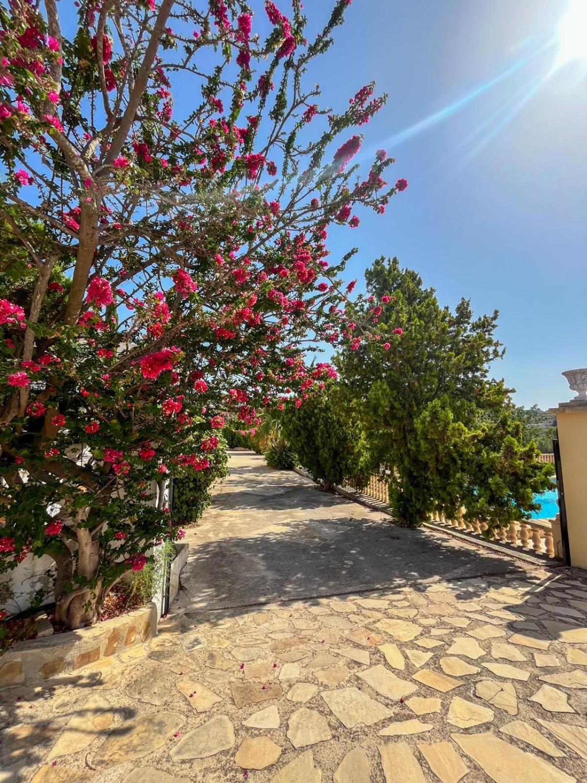 Апартаменти Casa Mar Benissa Calpe Екстер'єр фото